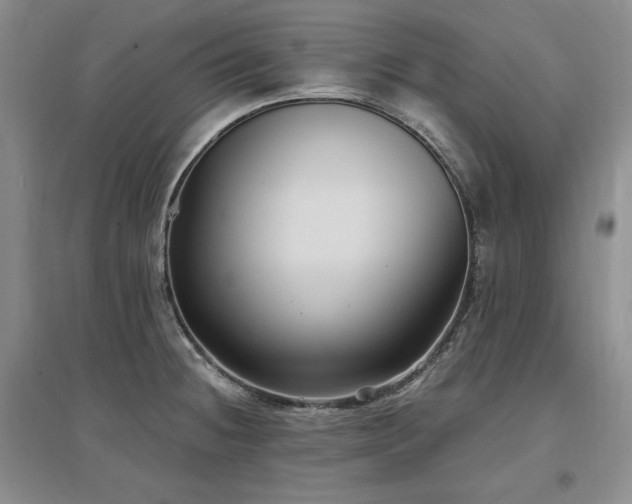 X0000097511236200802221500