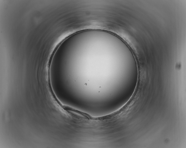X0000097511238200802221500