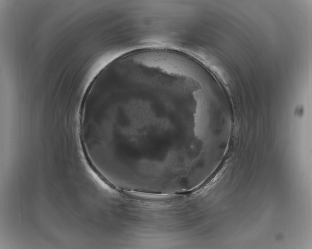 X0000097511239200802221500