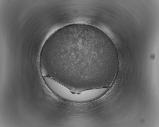 X0000097511240200802221500