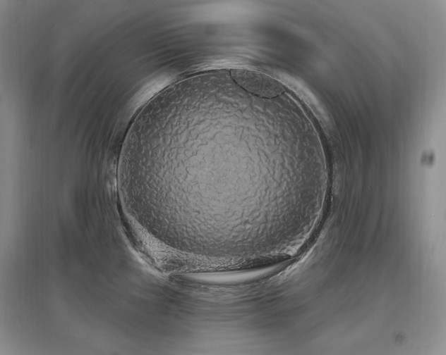 X0000097511241200802221500