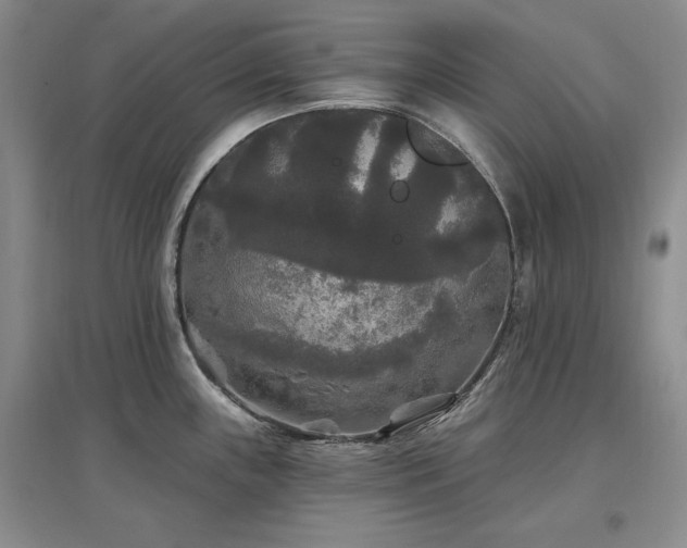 X0000097511243200802221500