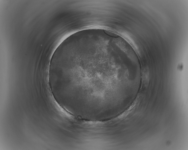 X0000097511244200802221500