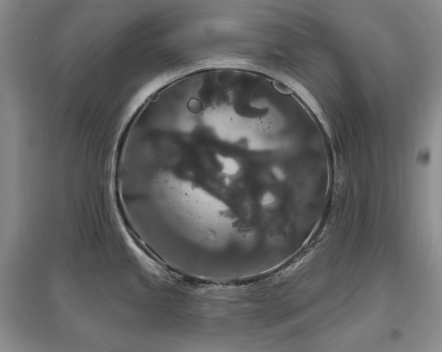 X0000097511245200802221500