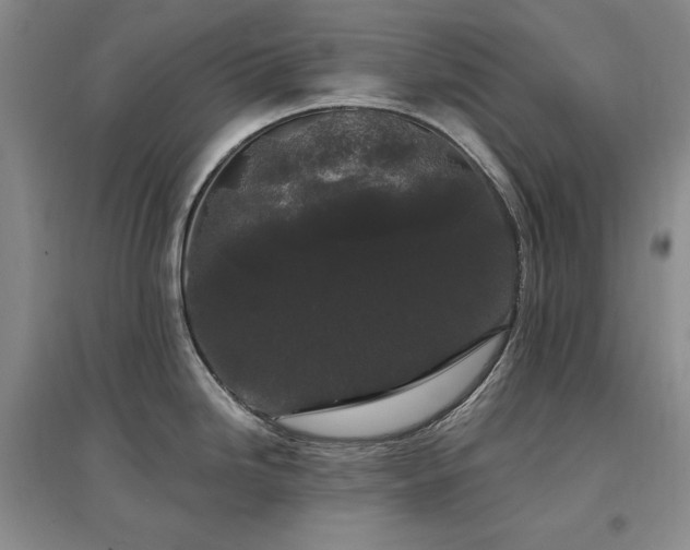 X0000097511246200802221500