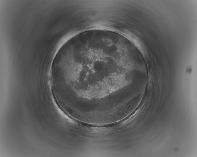X0000097511247200802221500