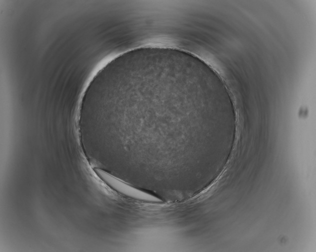 X0000097511248200802221500