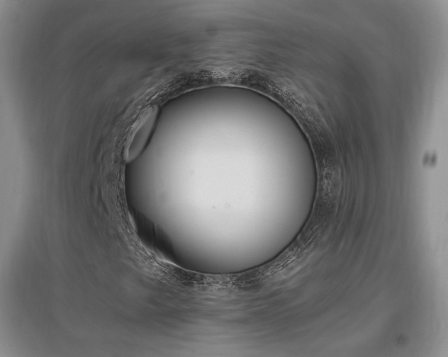X0000097511249200802221459