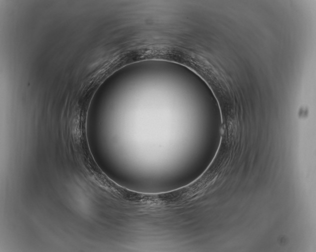 X0000097511250200802221459