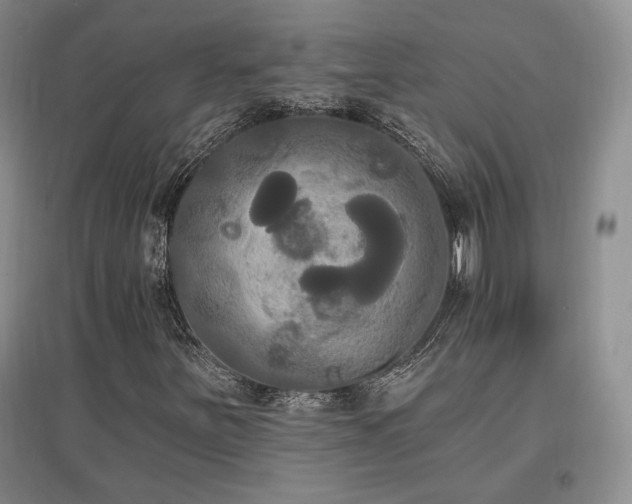 X0000097511251200802221459