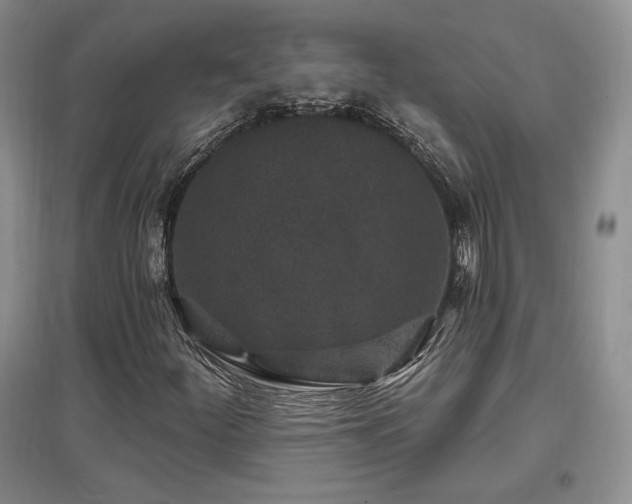 X0000097511252200802221459