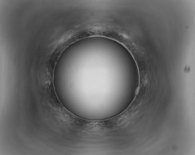 X0000097511253200802221459