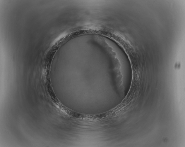 X0000097511254200802221459