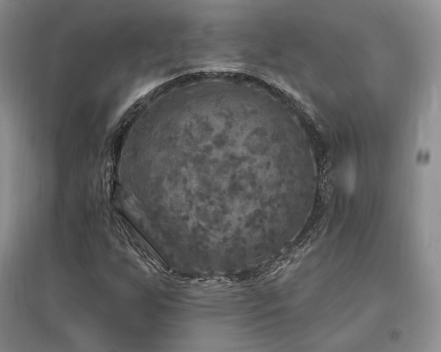 X0000097511255200802221459