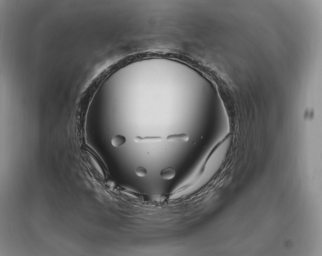 X0000097511256200802221459