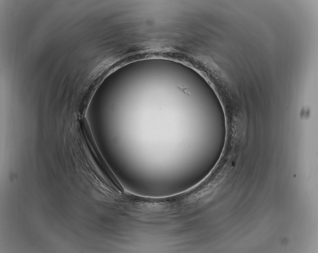 X0000097511257200802221459