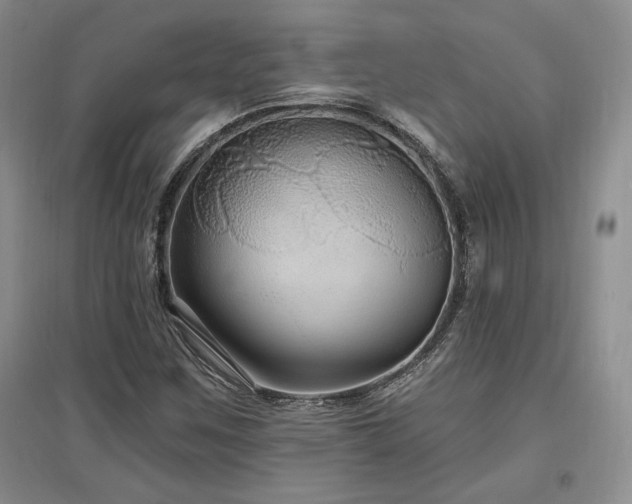 X0000097511259200802221459