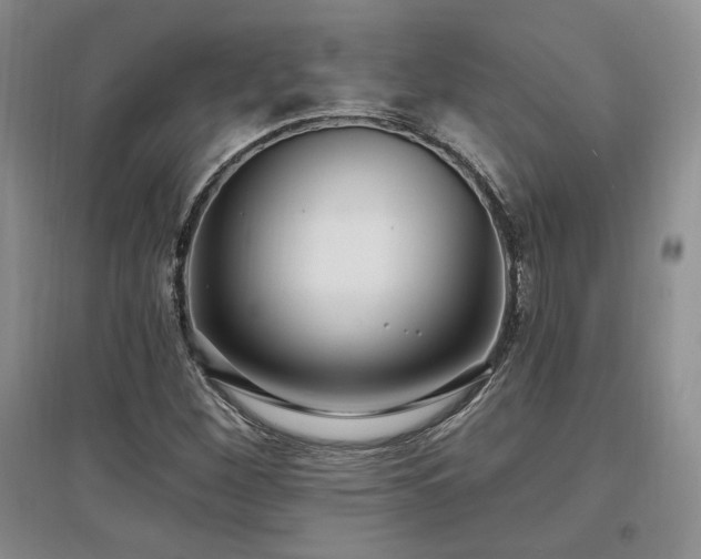 X0000097511260200802221459