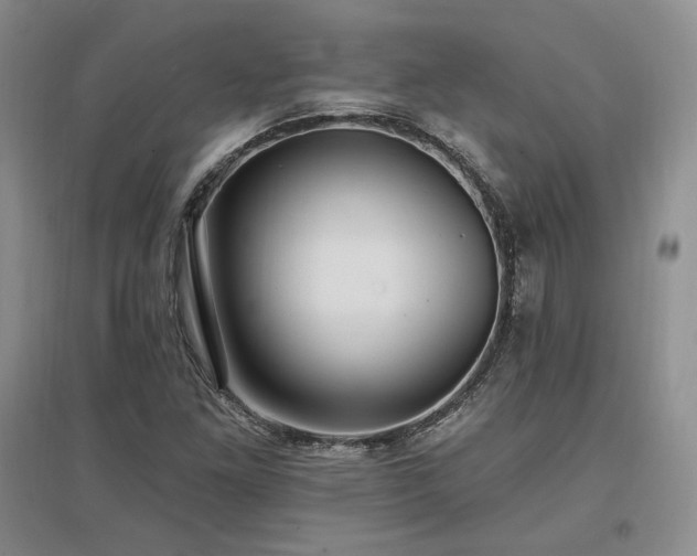 X0000097511261200802221459