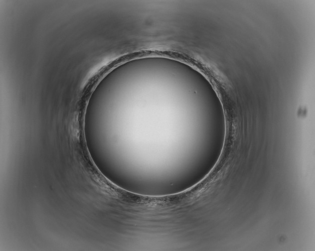 X0000097511262200802221459