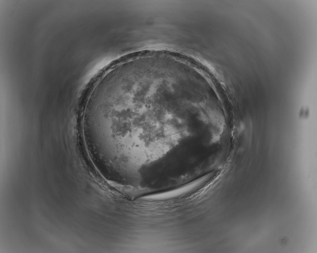 X0000097511263200802221459