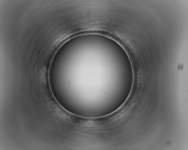 X0000097511265200802221459