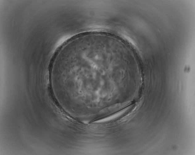 X0000097511267200802221459