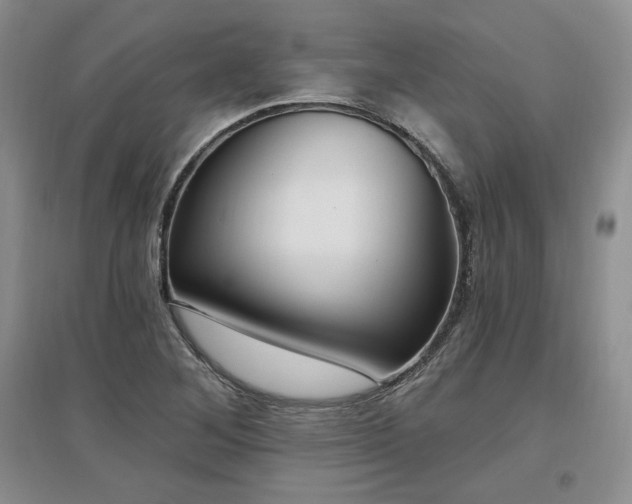 X0000097511268200802221459