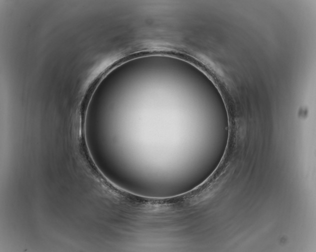 X0000097511269200802221459