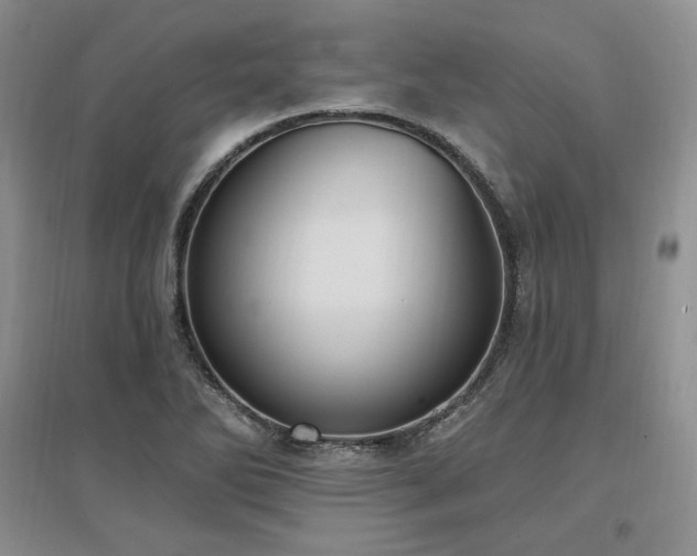 X0000097511270200802221459