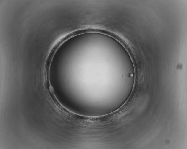 X0000097511271200802221459