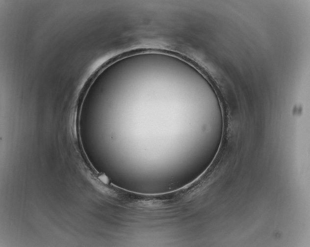 X0000097511272200802221459