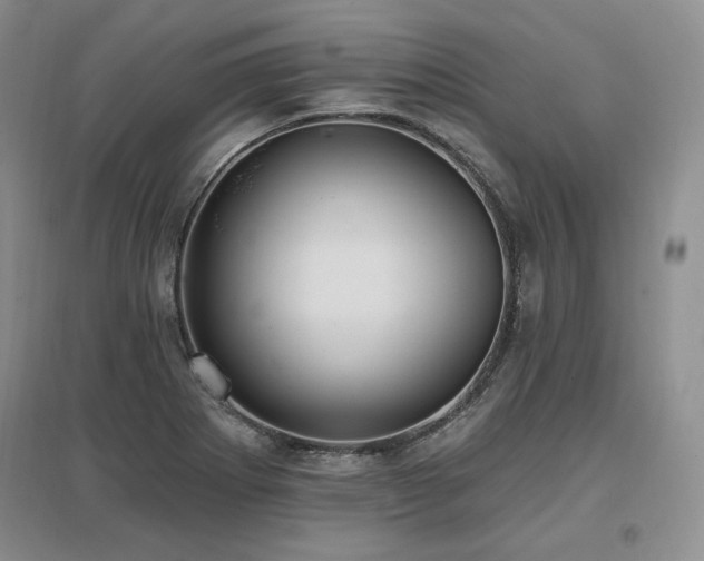 X0000097511273200802221459