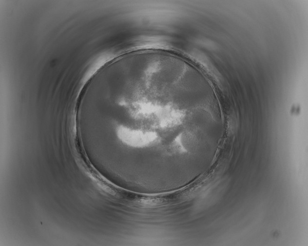 X0000097511274200802221459