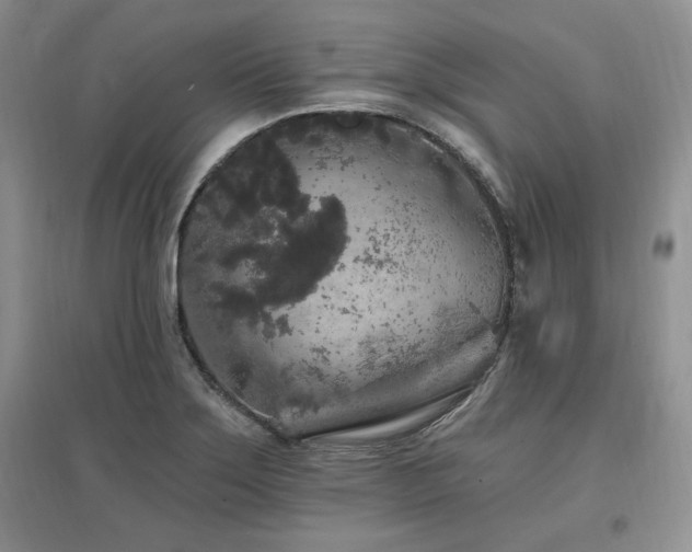 X0000097511275200802221459