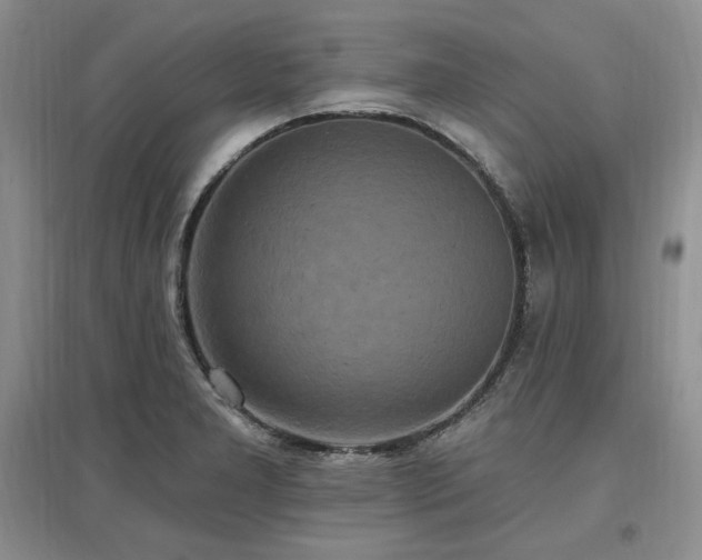 X0000097511277200802221459