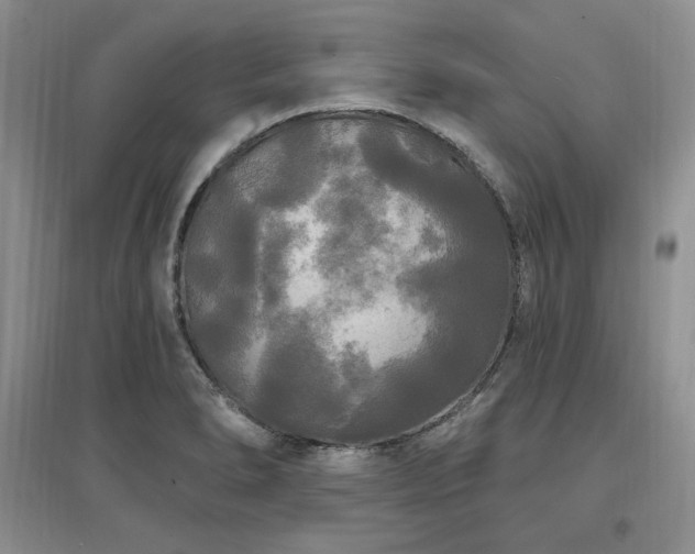 X0000097511278200802221459