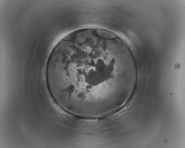 X0000097511279200802221459