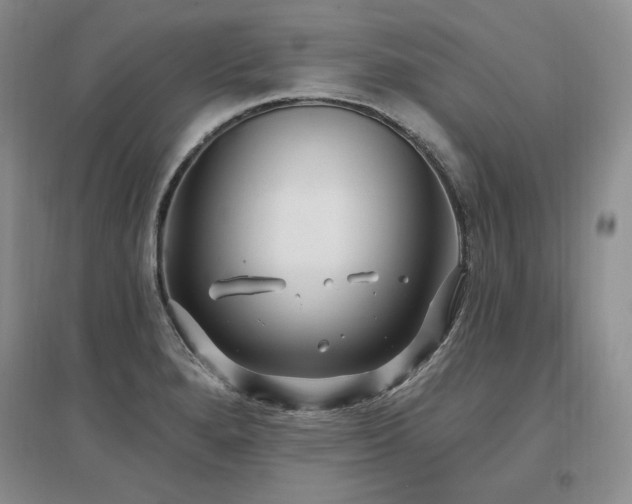 X0000097511280200802221459