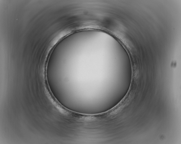 X0000097511282200802221459