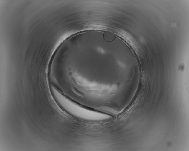 X0000097511283200802221459