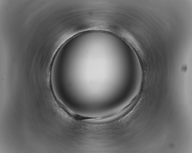 X0000097511284200802221459