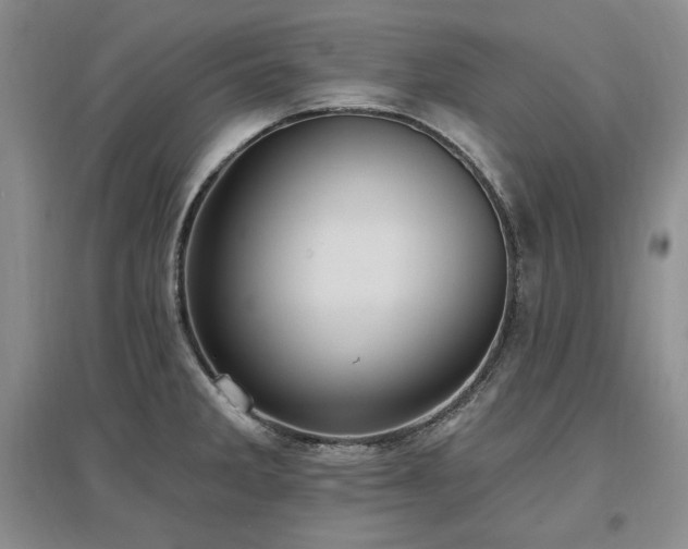 X0000097511285200802221459