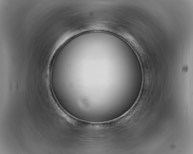 X0000097511286200802221459