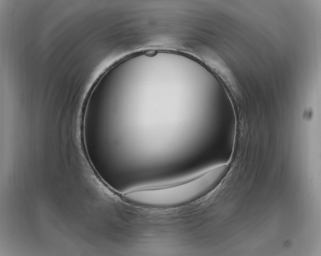 X0000097511288200802221458