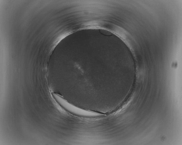 X0000097511289200802221458