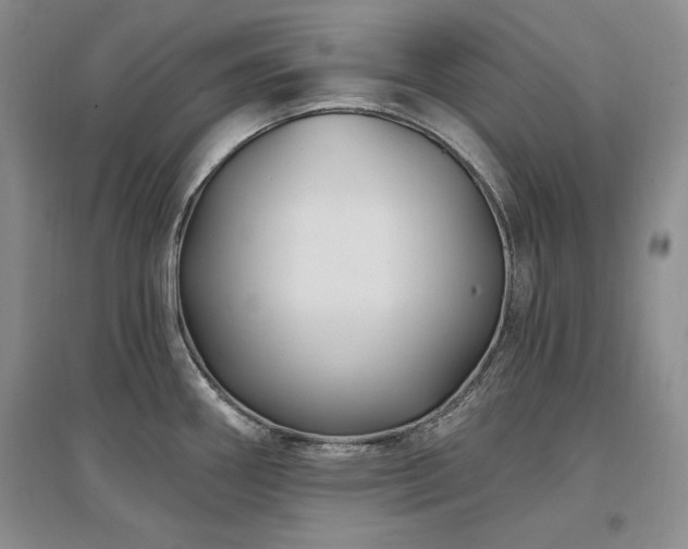 X0000097511290200802221458