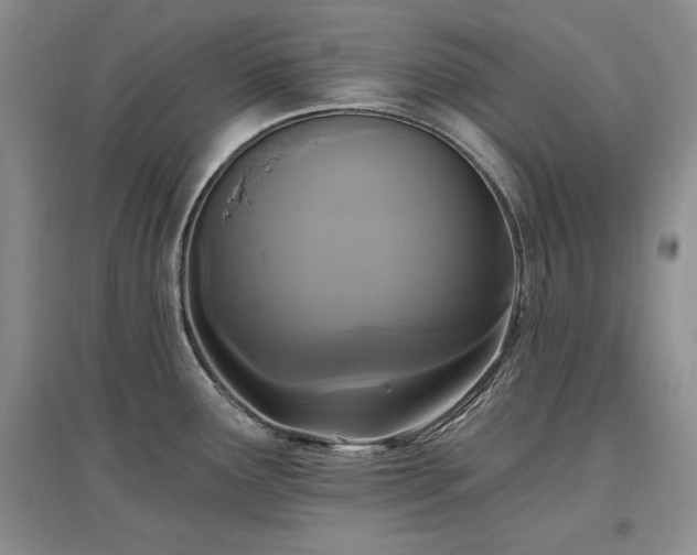 X0000097511291200802221458