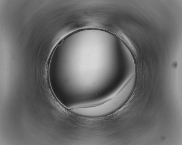 X0000097511292200802221458