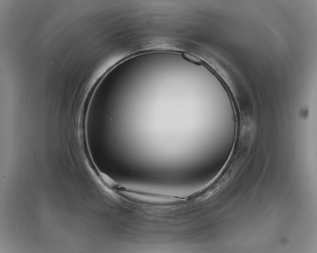X0000097511293200802221458